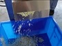 فرامة خضار