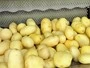 ماكينة تقشير الخضار ذات الفرش